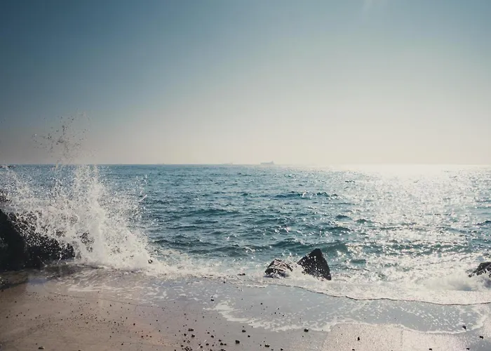 Blue Dolphin Apartament *