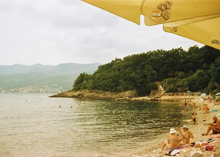 Blue Dolphin Lejlighed