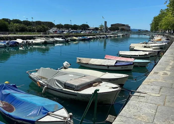 Blue Dolphin Lejlighed *